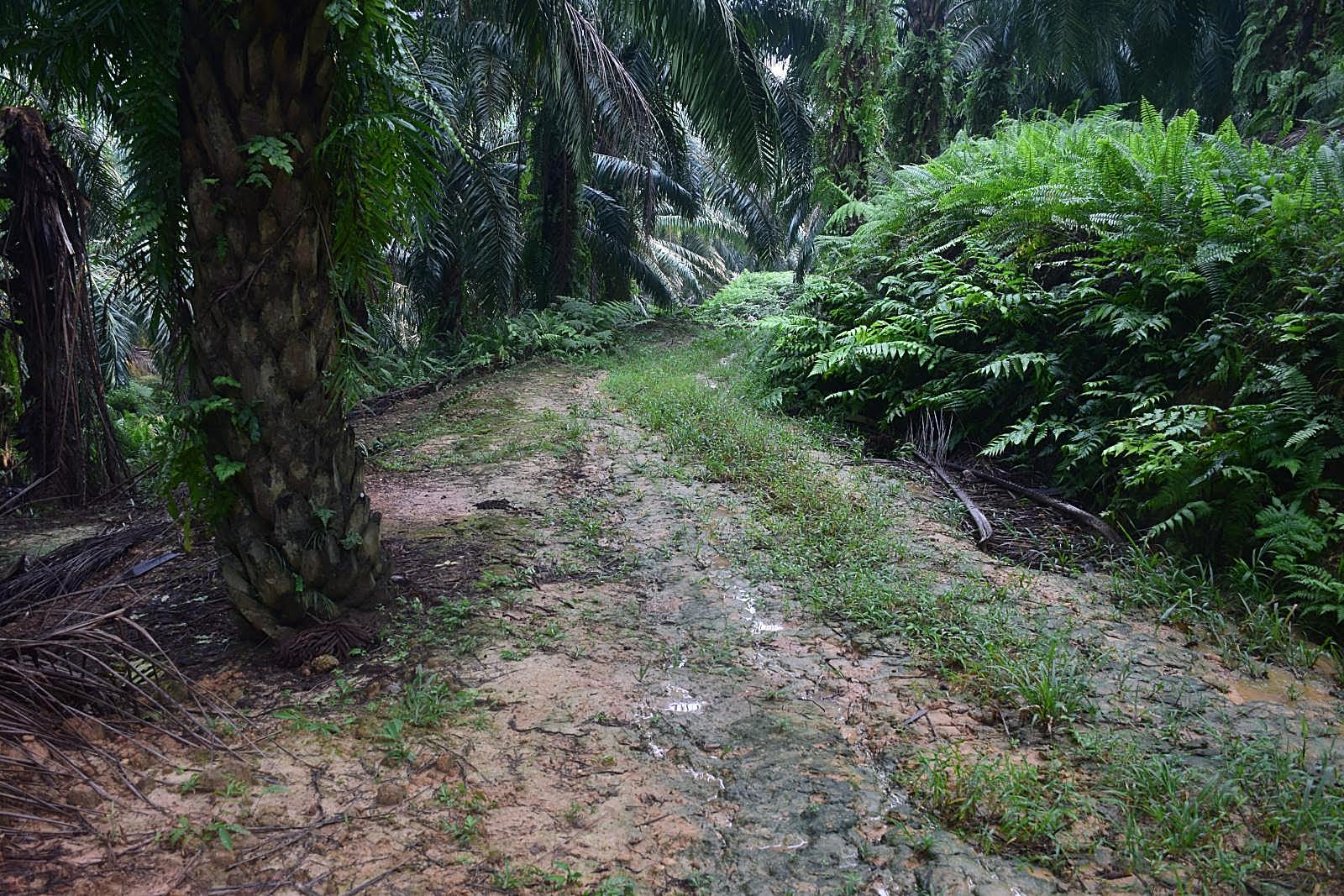 DSC_0311_01_01
