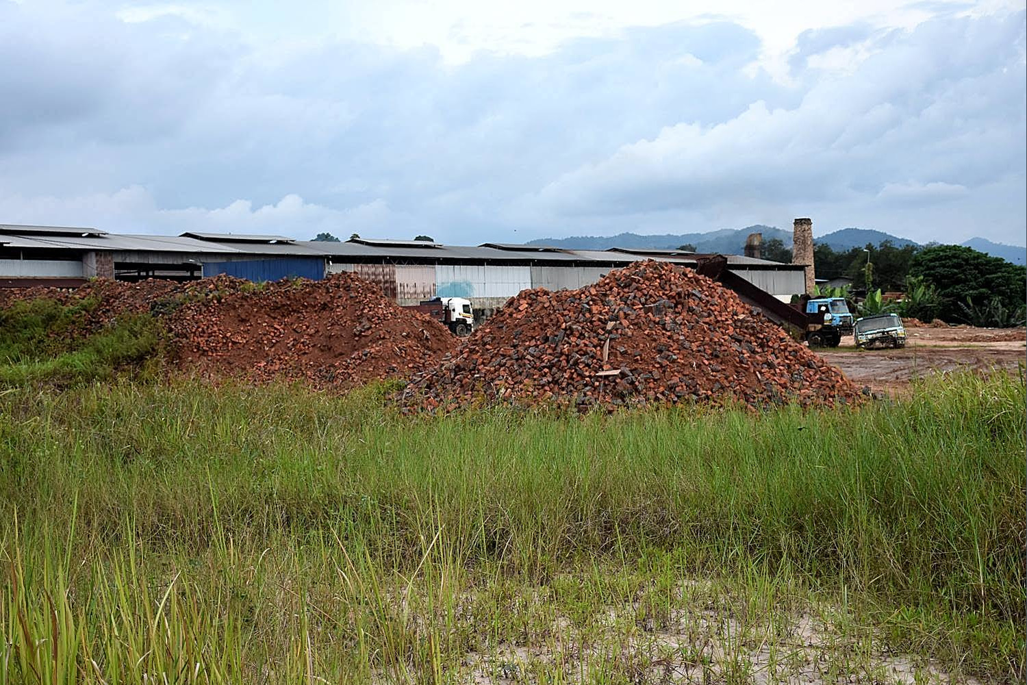 DSC_0325