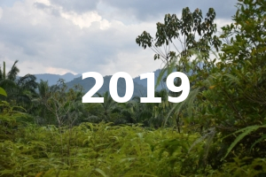 2019