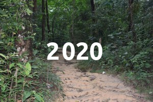2020