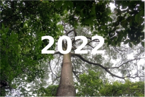 2022