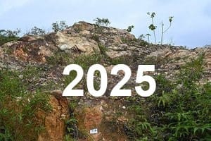 2025